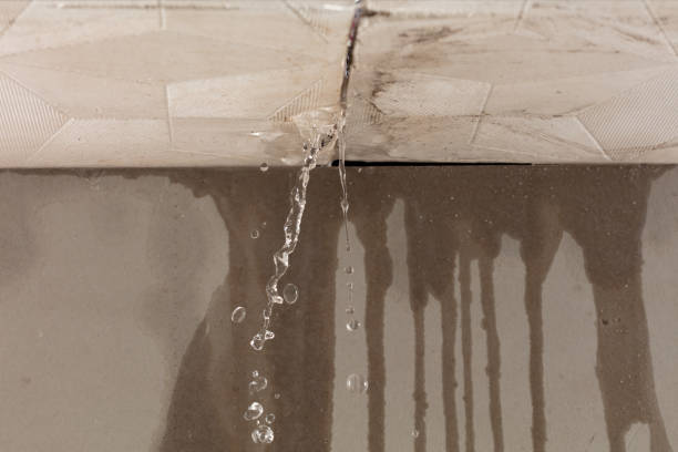 Professional Water Damage Repair technician working in Linden, TN